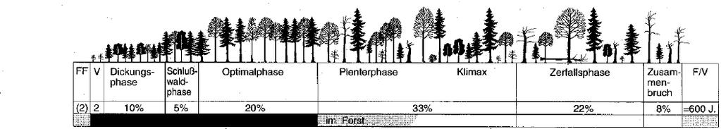 Flaschenhals der Biodiversität: Wälder in der Alters- und Zerfallsphase