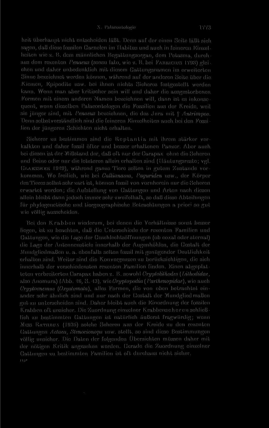 X. i'alaeontologie 1773 heit überhaupt nicht entscheiden läßt. Denn auf der einen Seite läßt sich sagen, daß diese fossilen Garnelen im Habitus und auch in feineren Einzelheiten wie z. B.