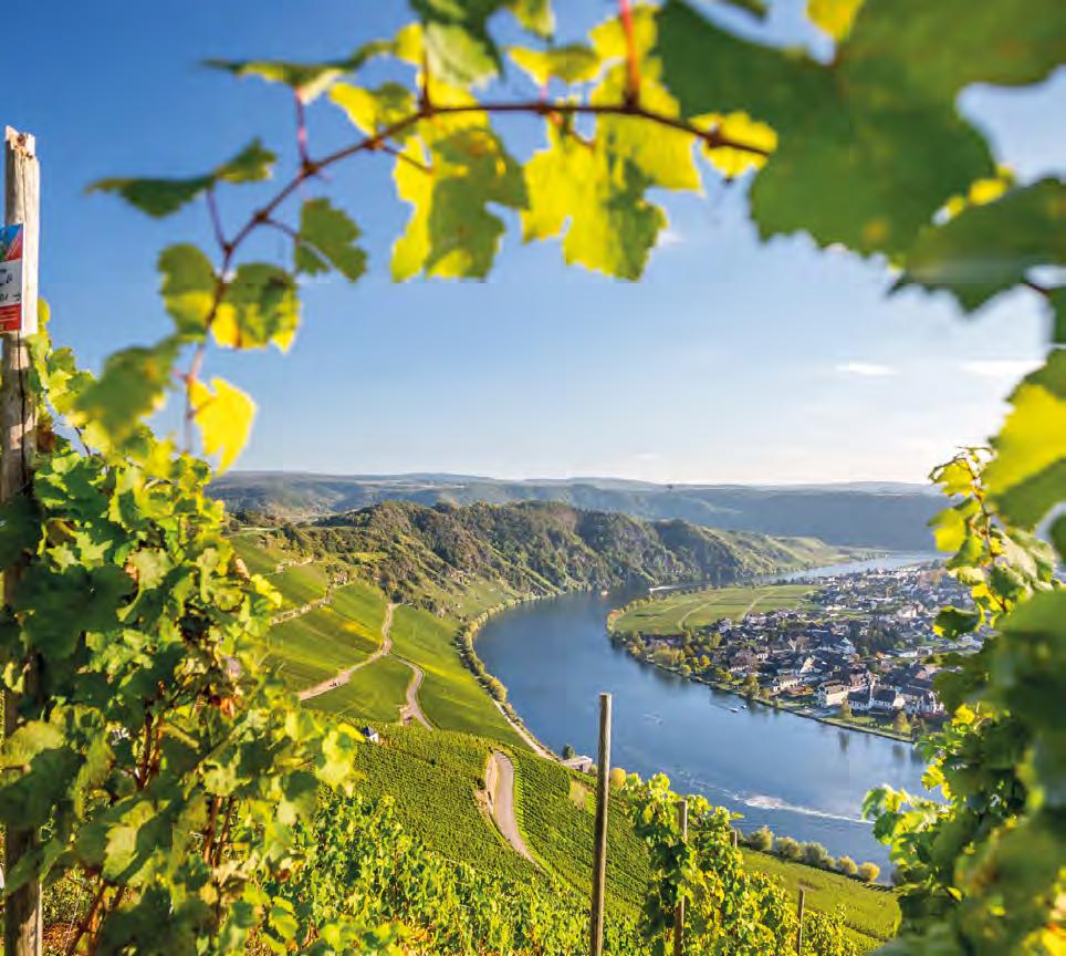 SPECIALS WINEBAR Deutsche Weinreise DEUTSCHE WEIN REISE 64 65