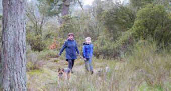 Nr. 06/2017 25 Niepars Wanderung nach Bodstedt Fünf Sportfreunde vom Schäferhundverein Krummenhagen haben am Samstag vor