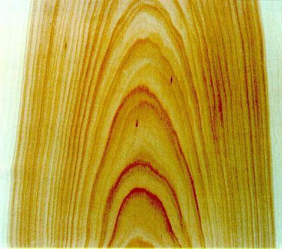 Das Holz der Vogelbeere seine Eigenschaften und Verwendung von Dietger Grosser und Bertram Leder Holzbeschreibung Die Vogelbeere bildet regelmäßig einen Farbkern aus und gehört somit zu den