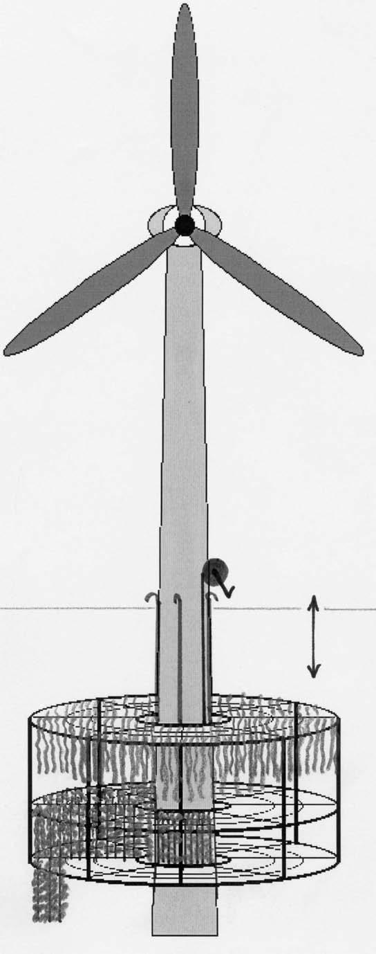 Machbarkeitsstudie Teil II Technik und Equipment b a Abb. 37 (a) zeigt den Pylon einer WEA mit der Käfigkonstruktion (SOSSEC) in einem unter die Wasseroberfläche herabgesenkten Zustand.
