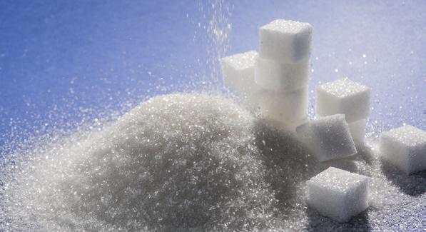 Bei gleichem Ertrag und steigenden Zuckergehalten sinken somit die Stückkosten.