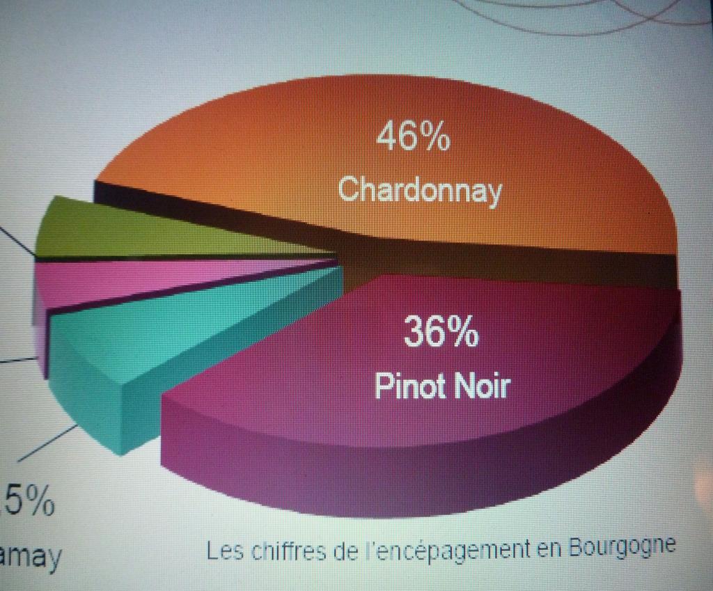 Prozentualer Anteil der in Burgund angebauten