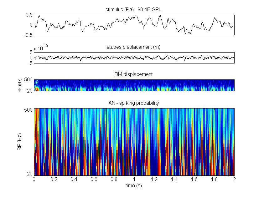 Effekt von TF-Stimuli in einem Gehörmodell Stimulus Auslenkung des Steigbügels Auslenkung Basilarmembran Wahrscheinlichkeit einer Aktivität auf den Hörnerven Programm: MAP by R.