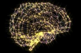 Das Gehirn Neuronalen Netzwerke: Verschiedene Regionen, die durch aktivierende oder hemmende