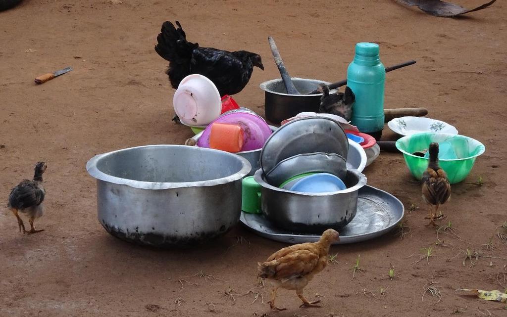 Die Hühner sind froh, dass die Töpfe noch nicht gewaschen sind.