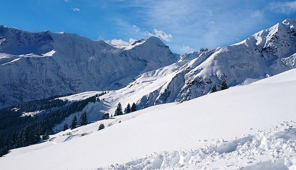 Schneeschuhlaufen Wir führen Sie durch wunderschöne Winterlandschaften.