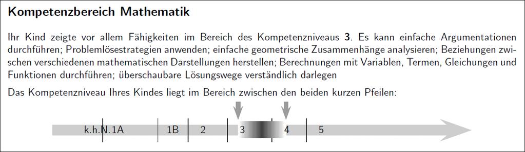 Auswertung/Rückmeldung