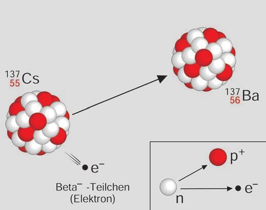 2 Kernumwandlungen und Radioaktivität 2.1 Alpha-, Beta- und Gammastrahlen Bestimmte Nuklide (Atomkernarten) haben die Eigenschaft, sich von selbst, ohne äußere Einwirkung, umzuwandeln.
