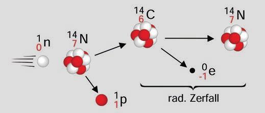 1 1H 14 7N 2 + + 1 0n 1H 14 + + 1 1p 1 0n 6C 14 14 6 C 7 N + -1e 0 (10) (11) Stickstoff-16 zerfällt unter Aussendung eines Betateilchens zu Sauerstoff-16.