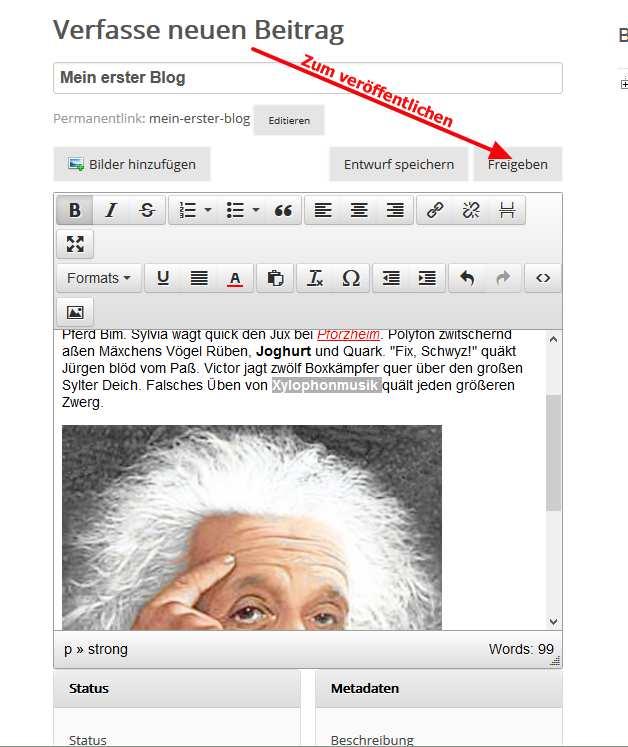 Nach Betätigen von «Freigeben» wird der Beitrag