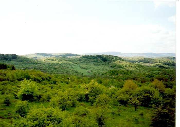 Vogelschutzgebiet Doupovské hory Basisangaben * Bekanntgabe 2004 * Basis des Vorschlages war das bedeutende Vogelschutzgebiet Doupovské hory