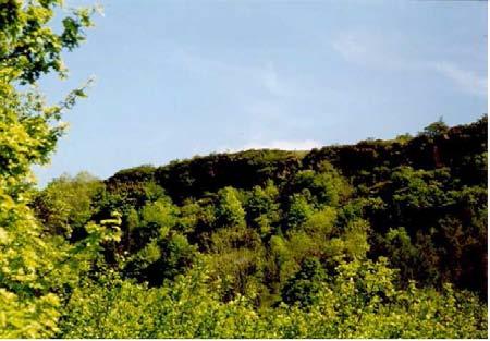 Vogelschutzgebiet Doupovské hory Monitoring in Beziehung zu den einzelnen Biotopen * Waldbestände -Schwarzstorch -Wespenbussard -Grauspecht