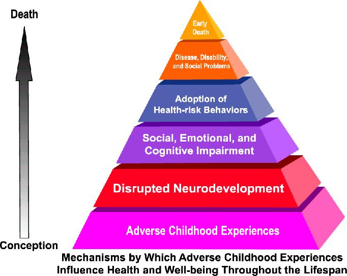 Adverse Childhood Experience Study Dr.