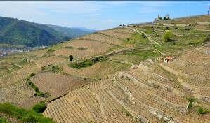 Steil- und Terrassenlagen selbst, diese sind seit Jahrhunderten nachhaltig, sondern für die Weinwirtschaft zu konkretisieren.