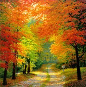 Herbststimmung Wie jede Jahreszeit hat der Herbst schöne und weniger schöne Seiten. Oktober = lat. octo, acht November = lat.