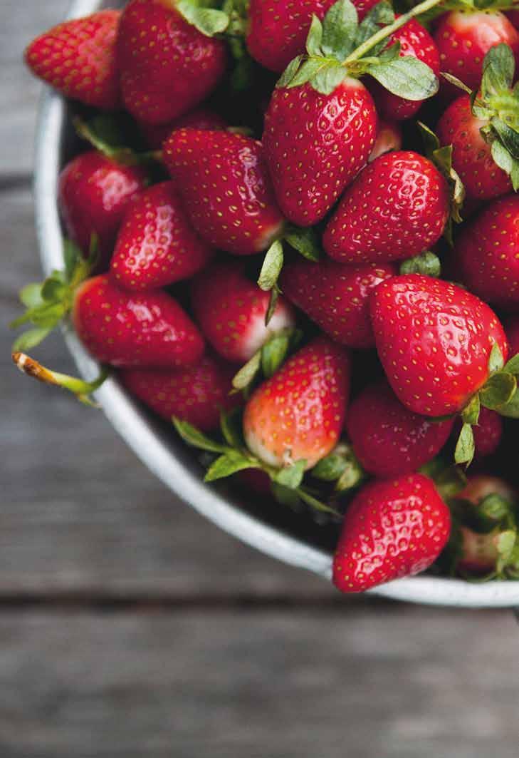 erdbeersaison Bauländer Bote 26. Mai 2017 Nr. 21 Wissenswertes über Erdbeeren Jetzt geht sie langsam los, die Ernte im Freiland.