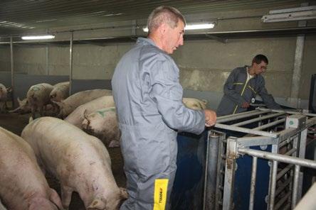 Joost übernahm den Betrieb im Jahr 1991. Etwa 7 Jahre später vergrößerte er den Betrieb auf 150 Säue und 1150 Mastschweine.