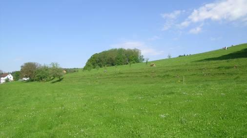 2 April 10 Obere Graat Kleinräumig wird das Gebiet um den oberen Graat geprägt durch Obstgärten, Wälder und Schnittwiesen.