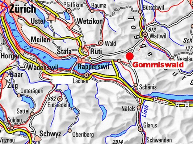 Gommiswald Lage Gommiswald liegt an schönster Wohnlage eingebettet in eine sanfte Hügellandschaft am Fusse des Rickenpasses inmitten eines intakten Naherholungsgebietes.