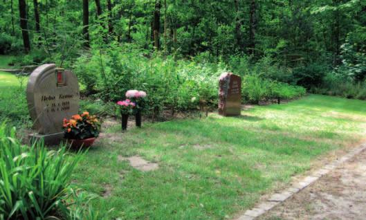 Die verschiedenen Formen der Bestattung Die Entscheidung über die Bestattungsform und die Art der Grabstätte ist nicht nur in Bezug auf die Kosten wichtig.