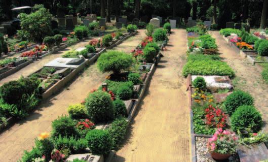 men Grabmal anzubringen. Die Unterhaltung und Pfl ege des Grabfeldes erfolgt durch die Friedhofsgärtnerei.