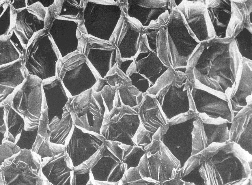 Zellstruktur einer Styropor- Dämmstoff-Platte (mikroskopische