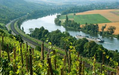 4 5 Unsere Weinlagen Wissenswertes rund um den Wein Geschichte des Weins in Karlstadt Schon seit dem 8. Jh. wird in Franken Wein angebaut.