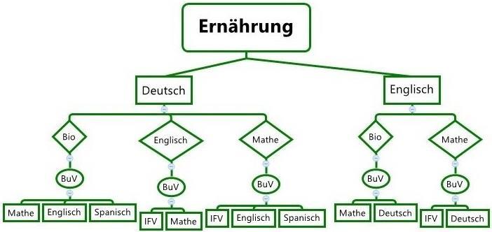 Wenn Sie sich für den Schwerpunkt Ernährung entscheiden, stehen Ihnen am Beruflichen Gymnasium der BBS V folgende