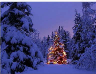 Wir wünschen allen Mitgliedern, Angehörigen und Bekannten der Kreisgruppe Oberland friedliche und besinnliche Weihnachten.