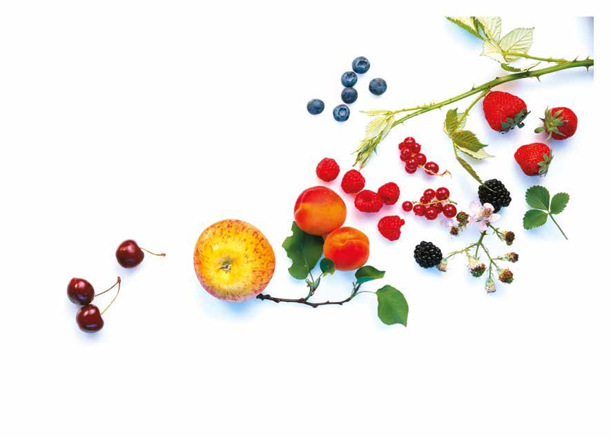 Püree und Säfte aus tiefgefrorenen Früchten Nur der echte Geschmack der Frucht, in vielen