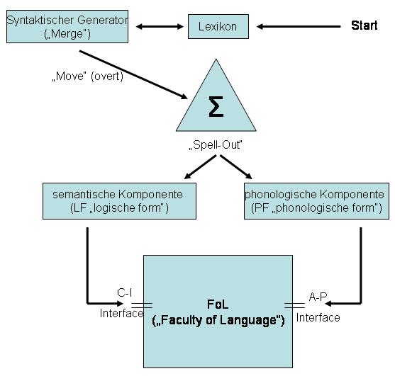 Schema des Minimalistischen Programms (nach Chomsky 1992)