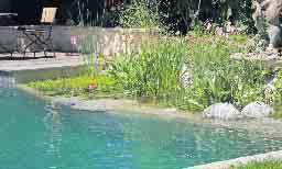 Mehr Schwimmvergnügen ohne Gesunder Badespaß, geringere Baukosten und nur wenig Pflegeauf- wand: Viele Vorteile sprechen für einen naturnahen Schwimmteich im eigenen Garten. Foto: djd/dgfnb.