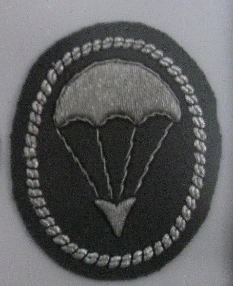 - Die 1. Luftlandedivision (Bundeswehr) - Die 1. Luftlandedivision war die 9. Division und einzige Luftlandedivision des deutschen Heeres während des Kalten Krieges. Sitz war zuletzt BRUCHSAL.