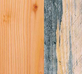 Feuchtigkeit und Temperaturschwankungen. Holzschutz mit RAL-Gütezeichen Chemischer Holzschutz sollte grundsätzlich selektiv erfolgen.