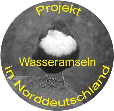 Farbberingungsprojekt Wasseramseln in Norddeutschland Infoschreiben 2008/2009 Liebe Wasseramselfreunde, eine weitere Wasseramselsaison, die Dritte in der wir unser Farbberingungsprojekt durchführen,