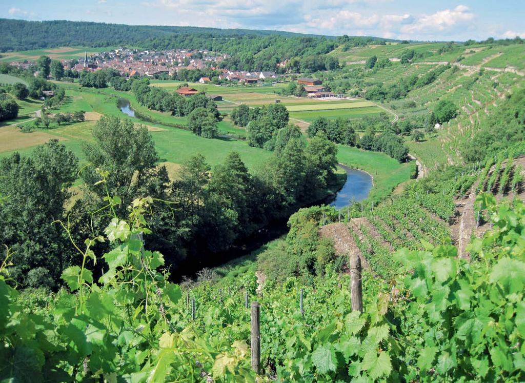 Auf dem weiteren Weg kann man nun einen schönen Blick auf den Steilhang des Enztals mit seinen Felswänden und Weinbergen genießen.