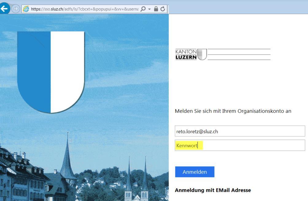 - 4 - Nach einigen Sekunden wird die Eingabemaske mit dem Logo des Kantons Luzern angezeigt (Abbildung 4).