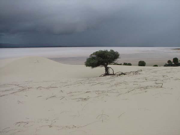 - 8 - An manchen Stellen ist nur Wüste mit Sanddünen. Im Hintergrund ist ein Salzsee.