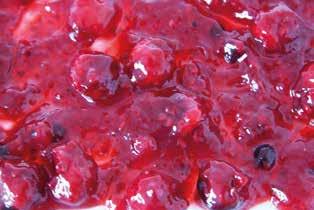 Kirschen, roten Johannisbeeren, Himbeeren und Heidelbeeren mit Vanillesauce 6x250g / Molkereiprodukte