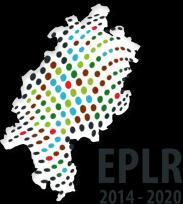 Maßnahmen des EPLR 2014 2020 des Landes Hessen Auflistung aller Maßnahmen nach ELER-Verordnung Artikel 14 Wissenstransfer und Informationsmaßnahmen Artikel 15 Beratungsdienste, Betriebsführungs- und