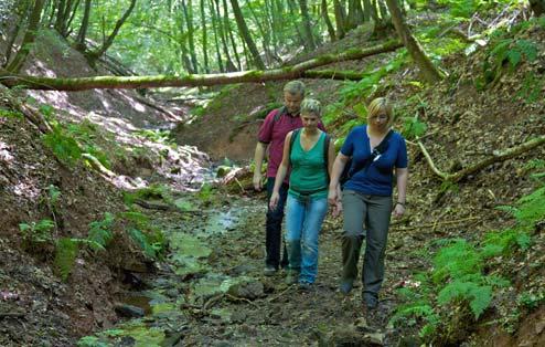 Charakteristisch für den vom Deutschen Wanderinstitut zertifizierten Spitzenwanderweg sind auch die unter Naturschutz stehenden Talauen mit ihren ursprünglichen Bachläufen, idyllischen Auwäldern und