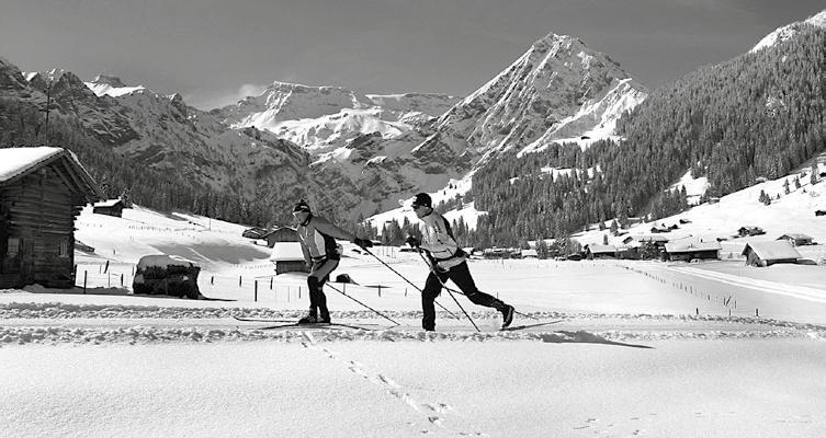Verschiedenes Gönnerverein Loipen Adelboden Die vergangene Langlaufsaison verlief trotz wenig Schnee zufriedenstellend. Im Boden war die Loipe vom 29. Dezember 2014 bis 18.