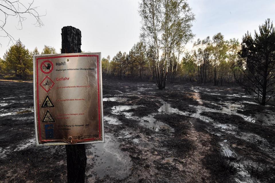 Verbrannt ist die Natur nach einem Waldbrand im Gebiet der Lieberoser Heide nahe Lieberose.