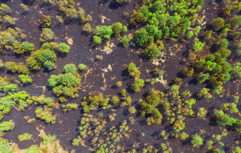 Die Luftaufnahme von der Lieberoser Heide zeigt deutlich die Spuren des Waldbrandes am Dienstag.