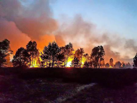 Cottbus Ein schweres Unwetter hat am Dienstag den Großbrand in der Lieberoser Heide nördlich von Cottbus gelöscht. Das teilte das Innenministerium in Potsdam mit.