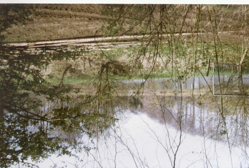Abb. 6.53: Künstlich angelegter Teich innerhalb der Rutschmassen (April 1998) 6.3.1 Rutschung Wolfsgarten (tertiäre Sedimente-Vulkanite) - FD-TA 9 TK 25: 5326 Tann/Rhön R 35741 / H 56141 Länge der Rutschung L: 72 m Breite der Rutschung W d : 35 m Max.