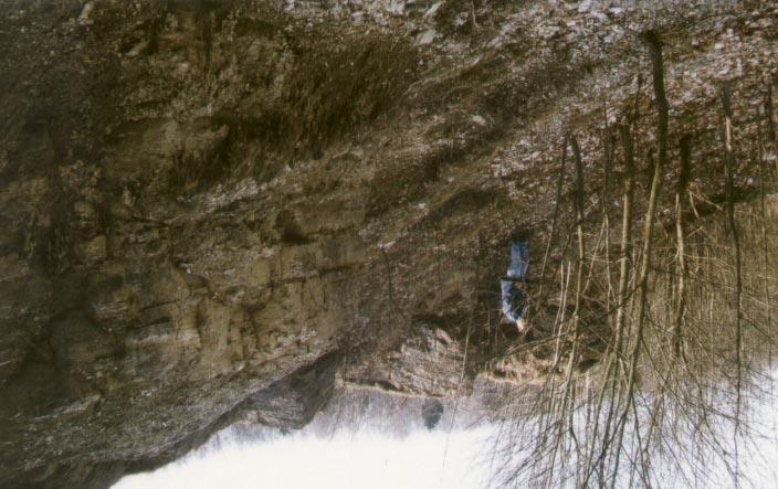 Abb. 8.3: Große Blöcke aus Kalksteinen des Unteren Muschelkalks im mittleren Teil der Rutschmassen der Rutschung FD-HI 3 westlich von Dietges. Aufnahme April 1997. Abb. 8.4: Stark zerkleinerte Kalksteine des Unteren Muschelkalks in der Rutschmasse der Rutschung Habelsberg (FD-TA 4).