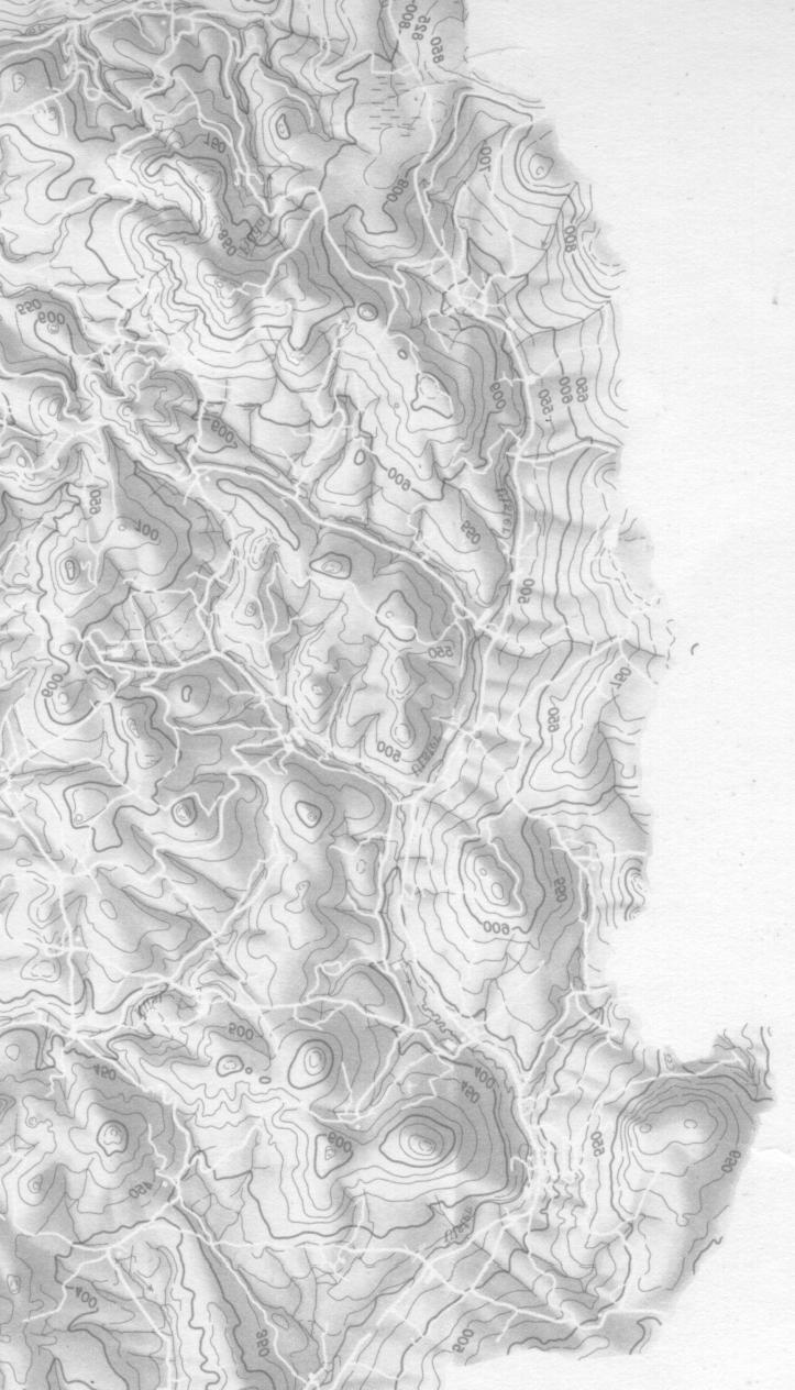 5615 561 565 56 5595 Basalte (ungegliedert) Röt-Muschelkalkgrenze Rutschung deutliche Lineation sehr markante Lineation Lauf der Ulster
